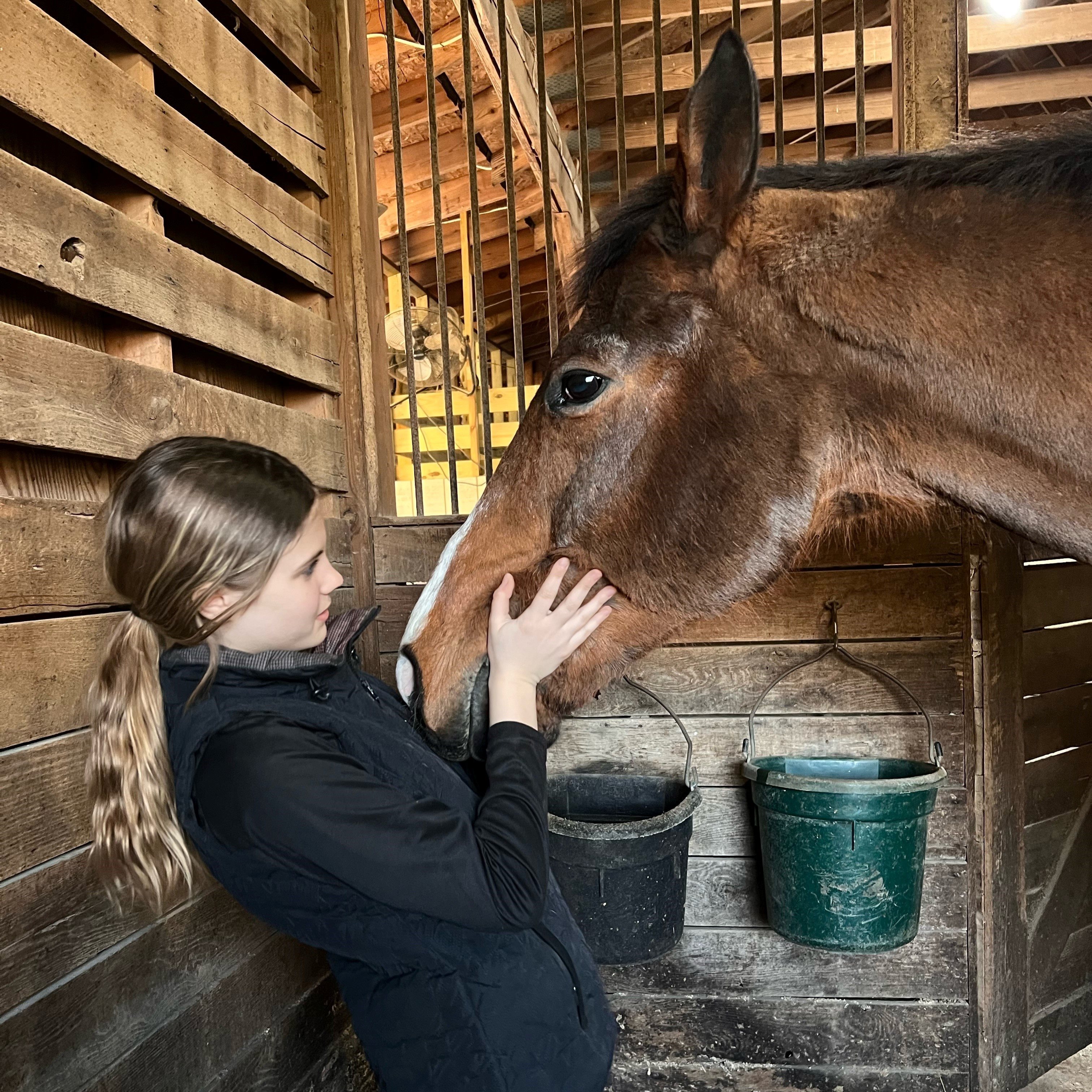 Haverhill Farm_Chance_PC Shaun Mitchell.jpg